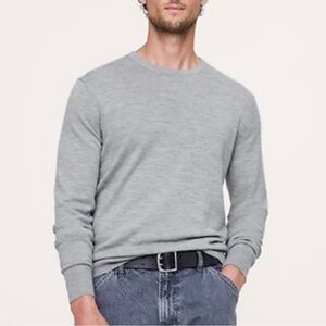 Banana Republic Merino Crew Neck